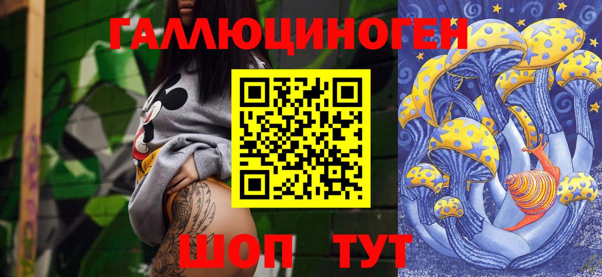 Псилоцибиновые грибы Psilocybe Астрахань